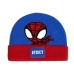 Chapeau Spidey