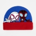 Chapeau Spidey