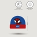 Hat Spidey