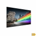 Οθόνη Videowall Philips 75BFL2214/12 Full HD 75