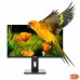 Monitor Nilox NXM24REG02 Full HD 24