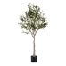 Dekorativ Plante 73 x 120 x 73 cm Oliventre Grønn Plast