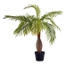 Dekorativ plante Ibergarden BRS-ADG193 Plastik Jernkabel Palmera 100 x 100 x 100 cm