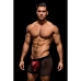 Herren-Boxershorts Envy Schwarz S/M