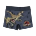 Calções de Banho Boxer para Meninos Jurassic Park