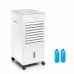 Bärbar multifunktionell evaporativ luftkonditionering Airvecove InnovaGoods 65 W Vit 5 L (Renoverade B)