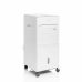 Climatizzatore Evaporativo Portatile Multifunzione Airvecove InnovaGoods 65 W Bianco 5 L (Ricondizionati B)