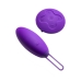 Vibromasseur à boules Blush Wellness Violet