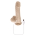 Realistyczne dildo Evolved Silikon ABS Ø 3,6 cm (14,6 cm)