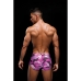 Classic underpants Envy Pink L/XL