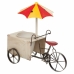 Ghiveci Alexandra House Living Tricycle Fier 16 x 37 x 34 cm