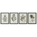 Obraz Home ESPRIT Kolor Zielony Beżowy Shabby Chic Rośliny botaniczne 30 x 2,5 x 40 cm (4 Sztuk)