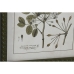 Cadre Home ESPRIT Vert Beige Shabby Chic Plantes botaniques 30 x 2,5 x 40 cm (4 Unités)