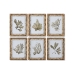 Maleri Home ESPRIT Grøn Beige Gylden Botaniske planter 28 x 2,8 x 36 cm (6 enheder)