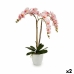 Decoratieve plant Orchidee Plastic 40 x 77 x 35 cm (2 Stuks)