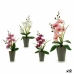 Decoratieve plant Ibergarden A18124-33 Plastic Orchidee 8 x 35 x 14 cm (12 Stuks)