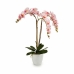 Decoratieve plant Orchidee Plastic 40 x 77 x 35 cm (2 Stuks)