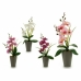 Decoratieve plant Ibergarden A18124-33 Plastic Orchidee 8 x 35 x 14 cm (12 Stuks)