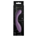 Vibrador NS Novelties Desire Morado