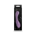 Vibrador NS Novelties Desire Morado