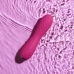 Vibrator Selopa Rosa