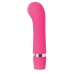 Vibrator Evolved Pink