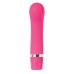 Vibrator Evolved Pink