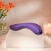 Vibrator Evolved Paars