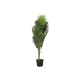 Dekorativ plante DKD Home Decor Palmera 40 x 40 x 100 cm Polyetylen Grøn Urban