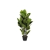 Decoratieve plant DKD Home Decor Polyethyleen Stads 40 x 40 x 90 cm