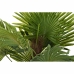 Dekorationspflanze DKD Home Decor Palme grün PE (40 x 40 x 90 cm)