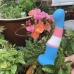 Dildo Blush Avant Monivärinen Ø 3,5 cm