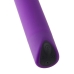 Vibromasseur à boules Dream Toys Essentials Violet