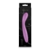 G-Spot Vibrator NS Novelties Desire Pink