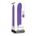 G-Spot Vibrator Evolved Purple