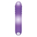 G-spot Vibrator Evolved Paars