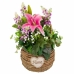 Decoratieve Bloemen Alexandra House Living Multicolour 25 x 36 x 31 cm