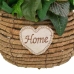 Dekorative blomster Alexandra House Living Flerfarget 25 x 36 x 31 cm