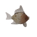 Decorative Figure Romimex Brown Glass Fish 25 x 10 x 20 cm