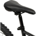 Dviratis Huffy 24382W