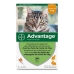 Middel tegen parasieten Advantage 0,4 ml Kat Konijn 1-4 Kg 6 Stuks