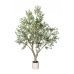 Decoratieve plant Romimex Plastic Olijfboom 180 x 250 x 180 cm