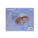 Kit de maquillage pour enfant Disney Princess Ariel