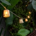 Ghirlanda di Luci LED New Garden Okinawa 8 m 10 Solare