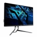 Gaming Monitor Acer UM.JX3EE.V09 4K Ultra HD 32