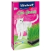 Snack para Gatos Vitakraft Cat Grass