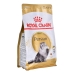 Comida para gato Royal Canin Persian Adult Frango Arroz Vegetal Pássaros 400 g