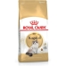 Kassitoit Royal Canin Ragdoll Kana Linnud 400 g