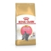 Cibo per gatti Royal Canin British Shorthair Kitten Adulto Pollo Uccelli 400 g