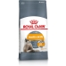 Γατοτροφή Royal Canin Hair&Skin Care Κοτόπουλο 400 g